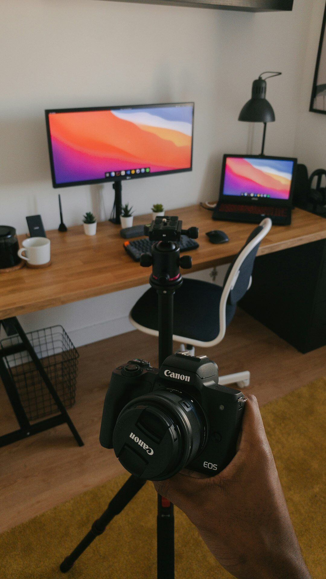professional digital content creator